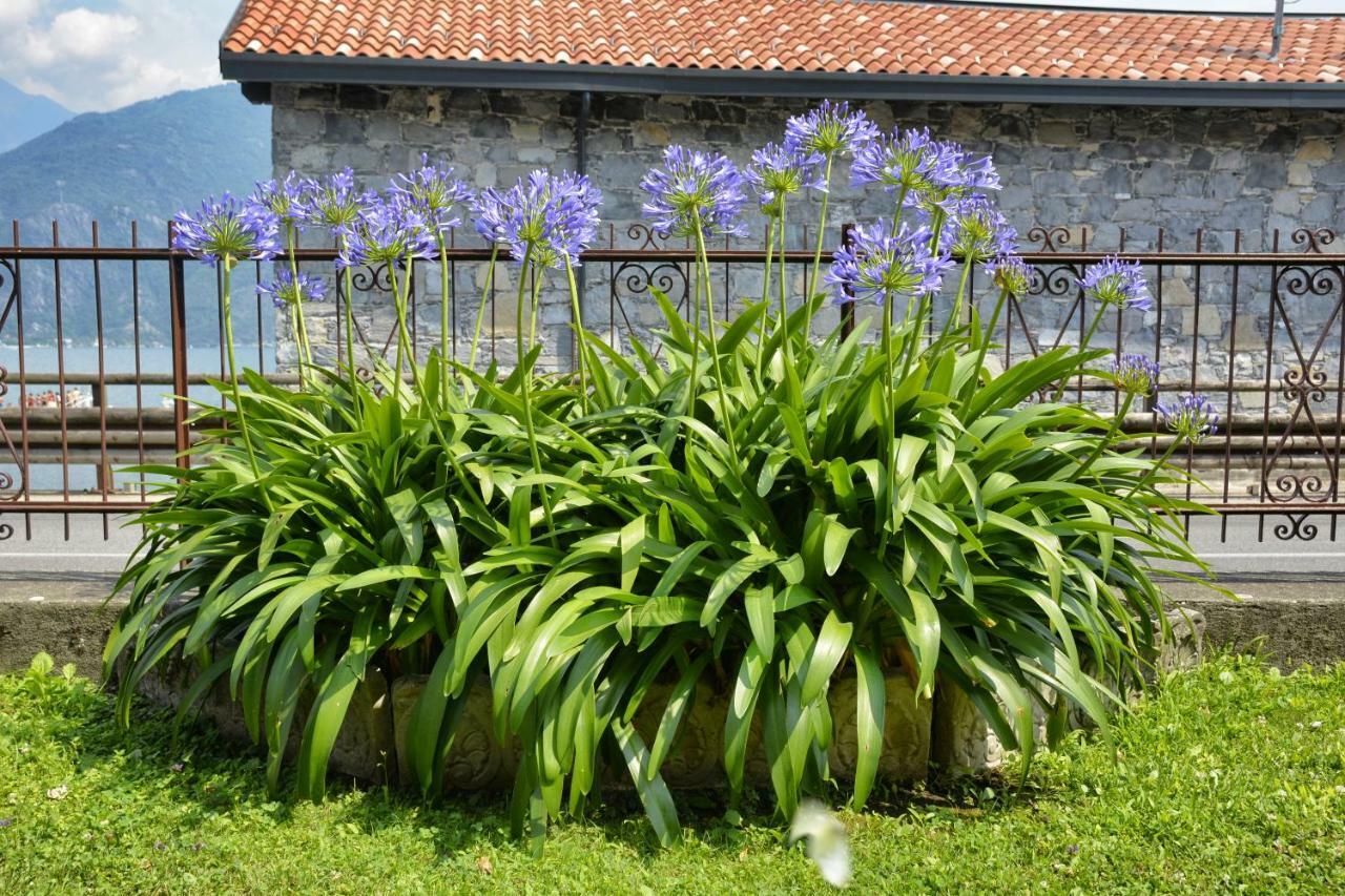 Casa Giardino Fiorito Apartman San Siro Kültér fotó